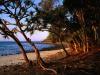 Tea Tree Beach, Noosa National Park, Queensland, Australia